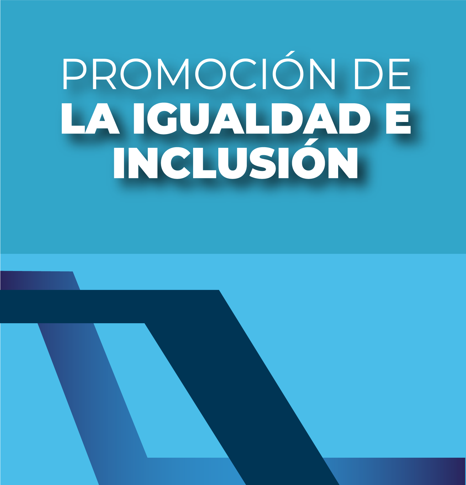 PROMOCIÓN DE LA IGUALDAD E INCLUSIÓN